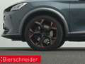 CUPRA Formentor 2.0 TSI DSG 4Dr. VZ PANO KAMERA BEATS ALU 19 Grau - thumbnail 27