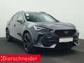 CUPRA Formentor 2.0 TSI DSG 4Dr. VZ PANO KAMERA BEATS ALU 19 Grau - thumbnail 9