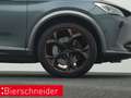 CUPRA Formentor 2.0 TSI DSG 4Dr. VZ PANO KAMERA BEATS ALU 19 Grau - thumbnail 30