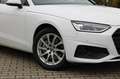 Audi A4 Avant 40 TDI *Leder*ACC*3-Zonen*DAB*HBA*LED* Blanc - thumbnail 11