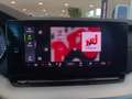 Skoda Octavia Style TDI DSG Gris - thumbnail 8