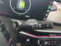 Kia Sorento 1,6 T-GDi Plug-In Hybrid GPF AWD Platin Aut. Braun - thumbnail 14