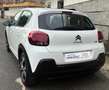 Citroen C3 1.2 85 CV 5 PORTE  SHINE  UFFICIALE Bianco - thumbnail 5