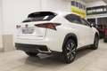 Lexus NX 300 300h Premium 2WD Blanc - thumbnail 33