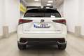 Lexus NX 300 300h Premium 2WD Blanc - thumbnail 35