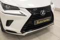 Lexus NX 300 300h Premium 2WD Blanc - thumbnail 29
