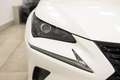 Lexus NX 300 300h Premium 2WD Blanc - thumbnail 28