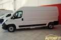 Fiat Ducato 35 3.0 CNG PLM-TA Furg. Bianco - thumbnail 4
