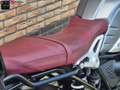 BMW R nineT SCRAMBLER Grijs - thumbnail 19