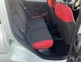 Fiat Panda 1.2 69cv BENZINA Blanc - thumbnail 5