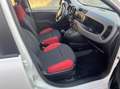 Fiat Panda 1.2 69cv BENZINA Blanc - thumbnail 6