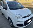 Fiat Panda 1.2 69cv BENZINA Blanc - thumbnail 2
