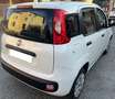 Fiat Panda 1.2 69cv BENZINA Blanc - thumbnail 3