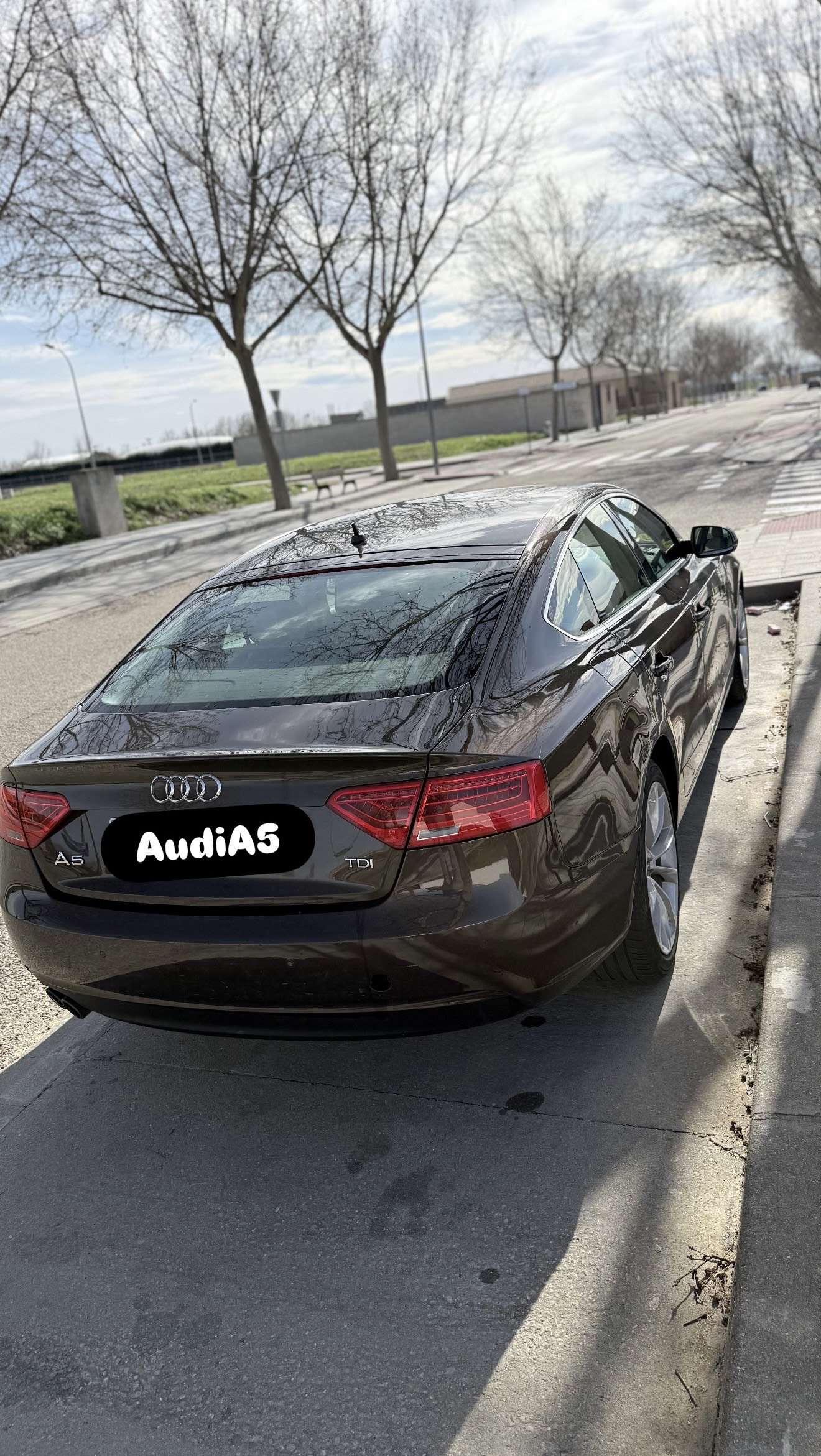Audi A5 Sportback 2.0TDI Multitronic 190 - foto 1