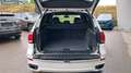 BMW X5 xDrive30d Aut. Weiß - thumbnail 30