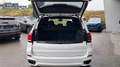 BMW X5 xDrive30d Aut. Weiß - thumbnail 29