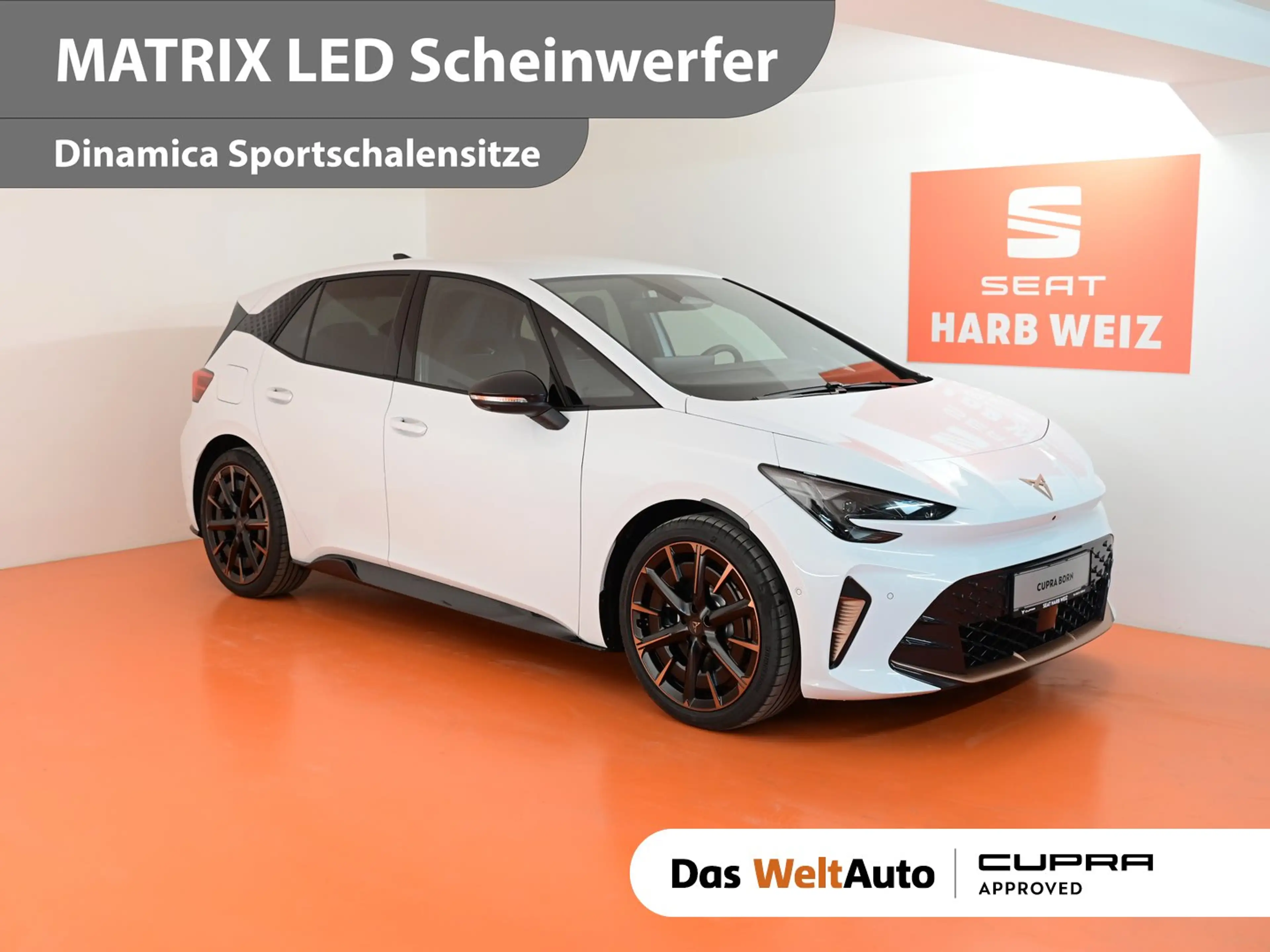 CUPRA Born ENDURANCE 79/84 170kW/231PS