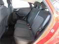 Ford Puma 1.5 EcoBlue 120 CV Connect AUTOCARRO N1 4 POSTI Rosso - thumbnail 11