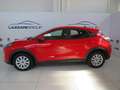Ford Puma 1.5 EcoBlue 120 CV Connect AUTOCARRO N1 4 POSTI Rosso - thumbnail 3
