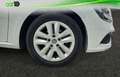 Renault Megane 1.2 TCe Energy Intens 97kW Blanco - thumbnail 20