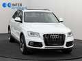 Audi Q5 3.0 TDI quattro S line Sport/Plus*aus 1.Hand* Blanc - thumbnail 2