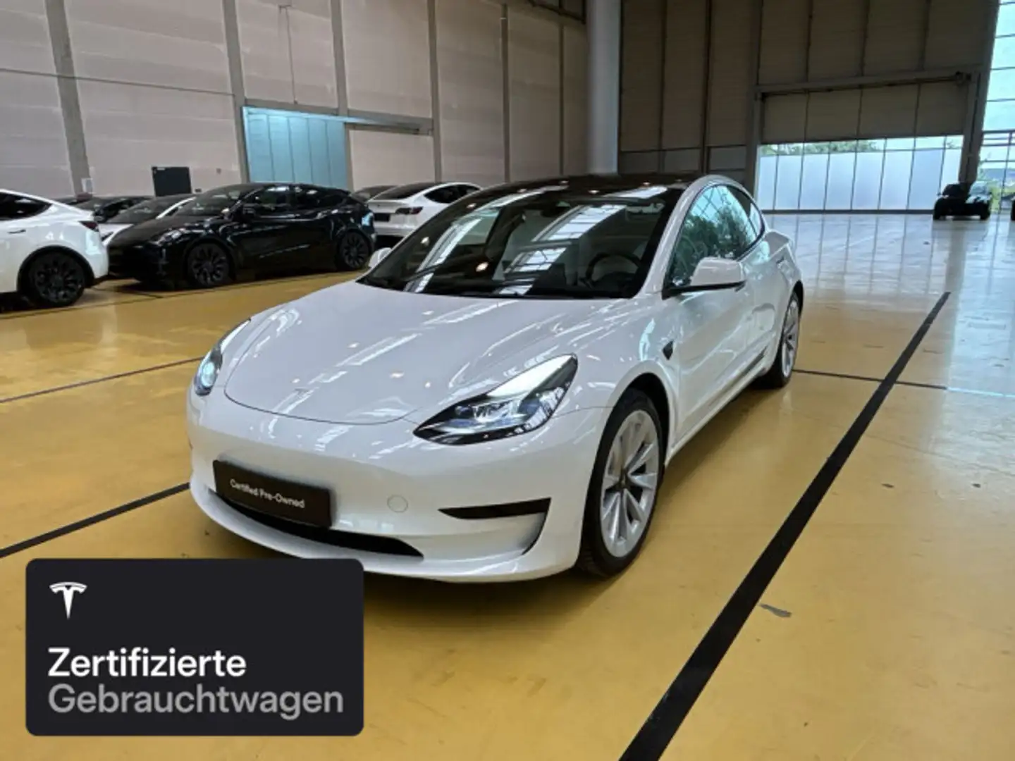 Tesla Model 3 Rear-Wheel Drive Weiß - 1