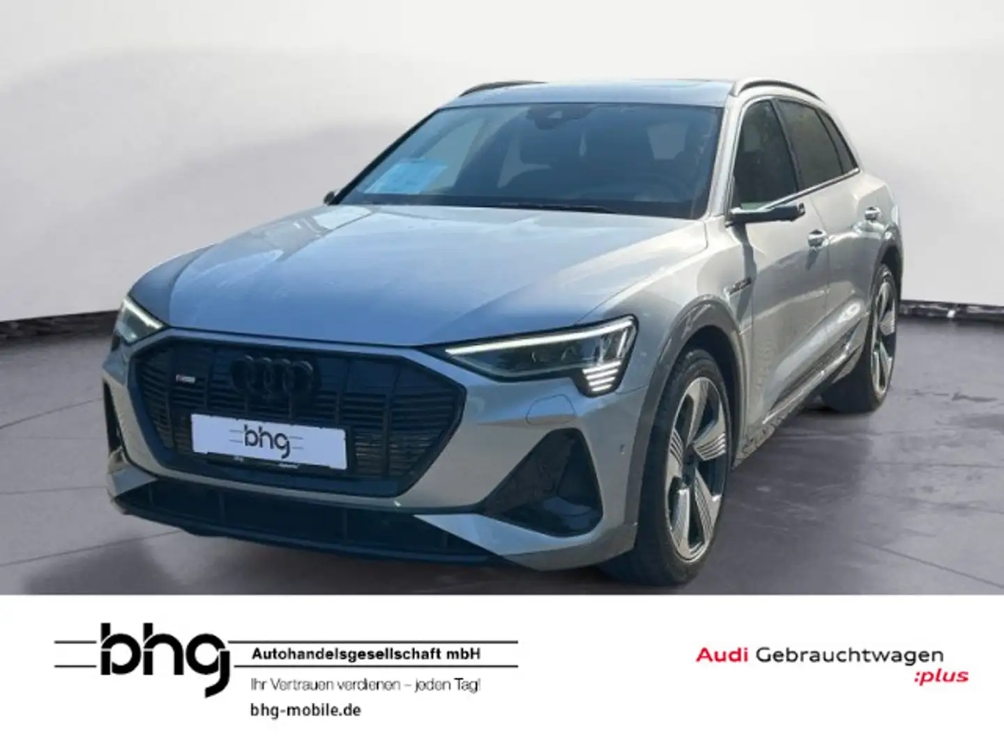 Audi e-tron 55 quattro S line *TOUR*MATRIX*TOP-VIEW* Argent - 1