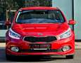 Kia Ceed / cee'd 1,4 CRDi Cool""NEUES PICKERL""TOP AUSSTATTUNG"" Rot - thumbnail 2