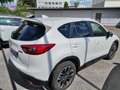 Mazda CX-5 CD175 AWD Revolution Top SD Aut. Weiß - thumbnail 2