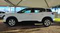 Citroen C5 Aircross PureTech 130 S&S Live Weiß - thumbnail 3