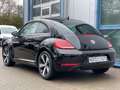 Volkswagen Beetle 1.2 TSI Allstar BMT+Xenon+Panorama+Navi+Cam Nero - thumbnail 5