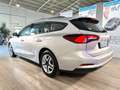 Ford Focus 1.5 EcoBlue 120 CV automatico SW Business Gris - thumbnail 4