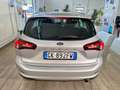 Ford Focus 1.5 EcoBlue 120 CV automatico SW Business Gris - thumbnail 5