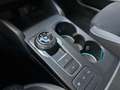 Ford Focus 1.5 EcoBlue 120 CV automatico SW Business Gris - thumbnail 15