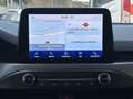 Ford Focus 1.5 EcoBlue 120 CV automatico SW Business Gris - thumbnail 13