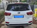 Kia Sorento Sorento III 2018 2.2 crdi Rebel Bianco - thumbnail 3