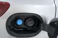 Nissan Qashqai 1.7 dCi 150 CV 4WD Business 4x4 UNIPROP.CERTIFICAT Zilver - thumbnail 30