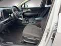 Kia Sportage Silber 1.6 CRDI 48V Alb - thumbnail 7