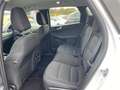 Ford Kuga 2.5 Duratec 190ch FHEV E85 Titanium BVA Wit - thumbnail 11