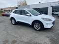 Ford Kuga 2.5 Duratec 190ch FHEV E85 Titanium BVA Wit - thumbnail 4