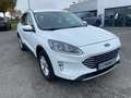 Ford Kuga 2.5 Duratec 190ch FHEV E85 Titanium BVA Wit - thumbnail 2