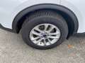 Ford Kuga 2.5 Duratec 190ch FHEV E85 Titanium BVA Wit - thumbnail 14