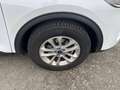 Ford Kuga 2.5 Duratec 190ch FHEV E85 Titanium BVA Wit - thumbnail 13