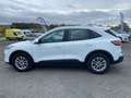 Ford Kuga 2.5 Duratec 190ch FHEV E85 Titanium BVA Wit - thumbnail 5
