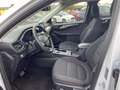 Ford Kuga 2.5 Duratec 190ch FHEV E85 Titanium BVA Wit - thumbnail 10