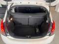 Lancia Ypsilon 5 Porte 1.2  Elefantino Blanc - thumbnail 12