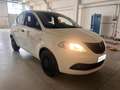 Lancia Ypsilon 5 Porte 1.2  Elefantino Blanc - thumbnail 3
