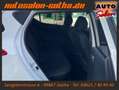 Hyundai i10 Passion KLIMA+SHZG LENKRADHZG TELEFON 2.Hand Blanc - thumbnail 10