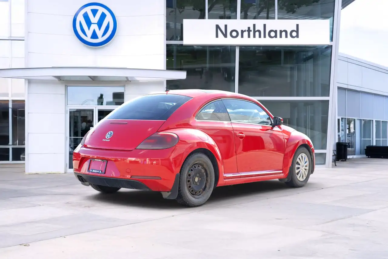 Volkswagen Beetle fotografie Volkswagen Beetle