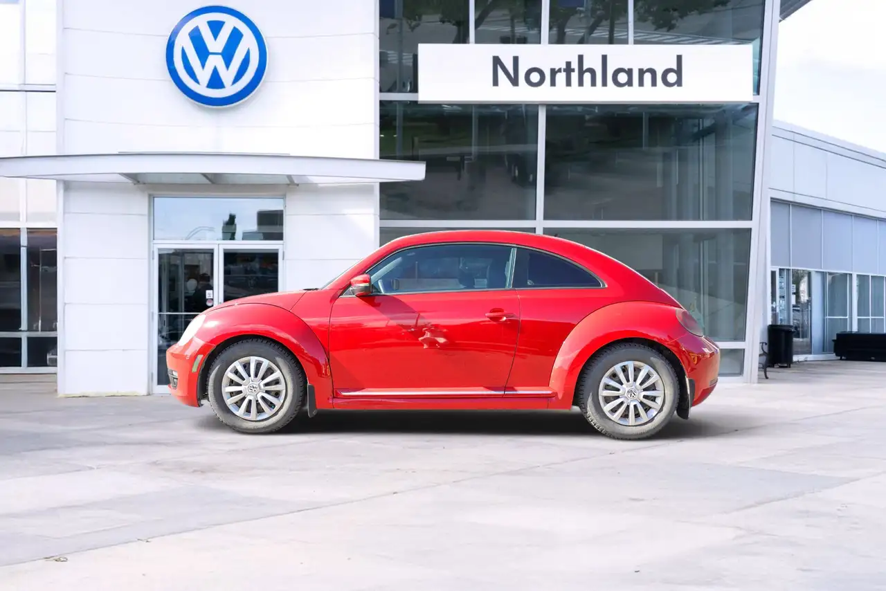 Volkswagen Beetle fotografie Volkswagen Beetle